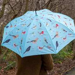 umbrella - garden birds umbrella - garden birds