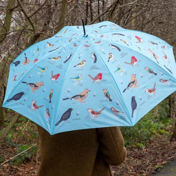 umbrella - garden birds umbrella - garden birds