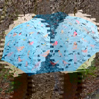 umbrella - garden birds