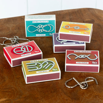 brain teaser wire puzzle - assorted