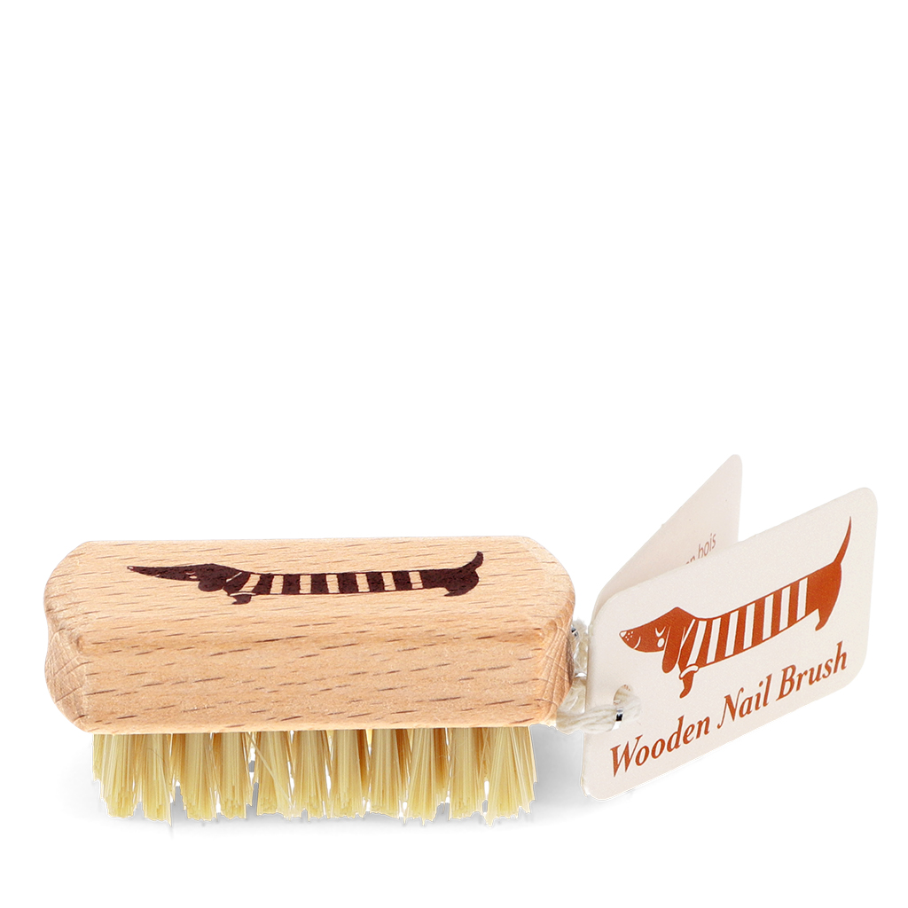 brosse à ongles en bois - teckel