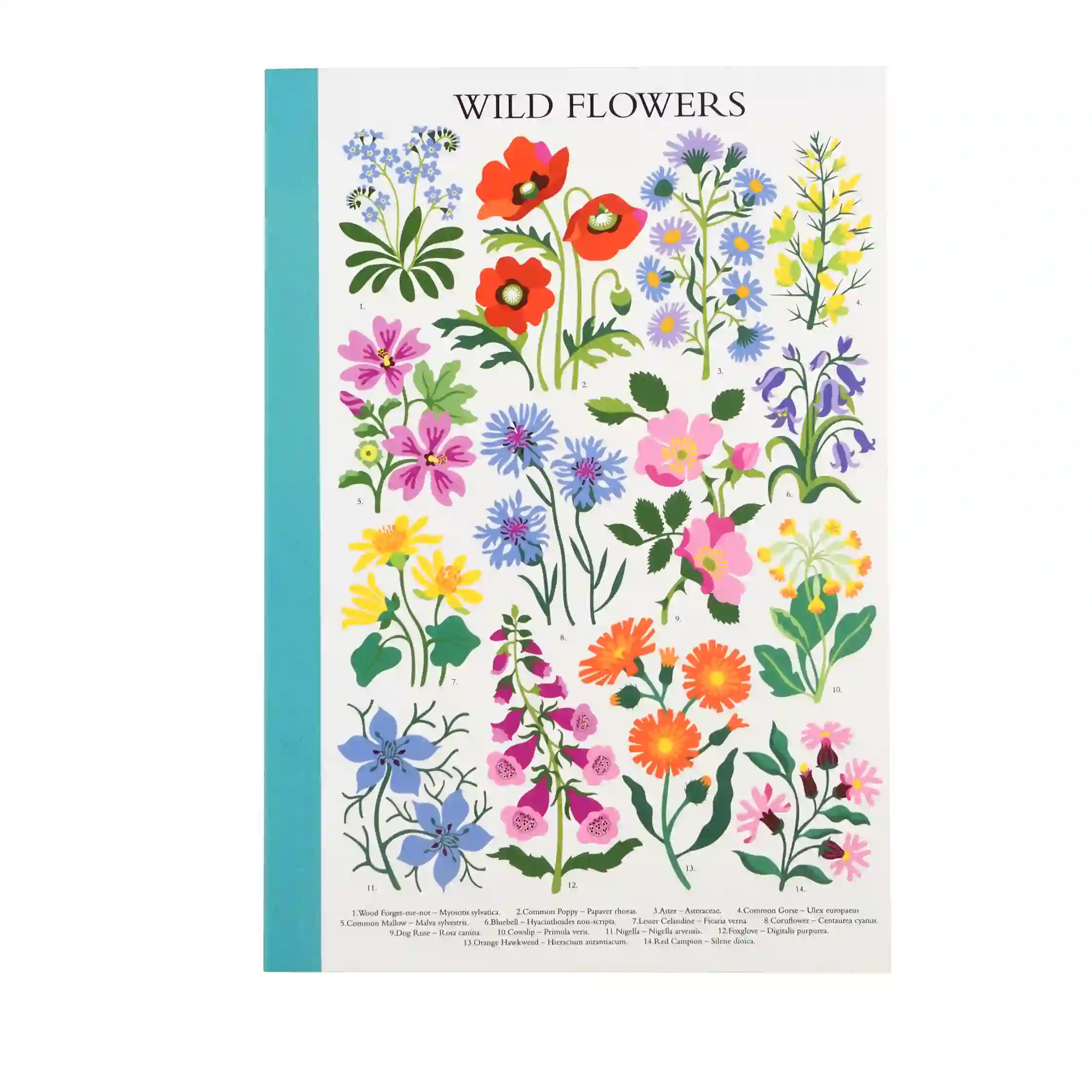 a5 notebook - wild flowers