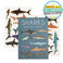 temporary tattoos - shark