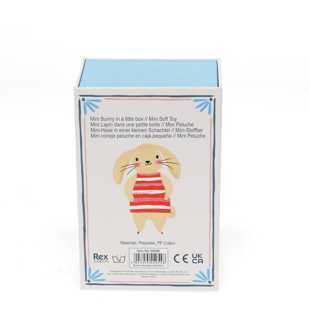 mini-hase in einer kleinen box