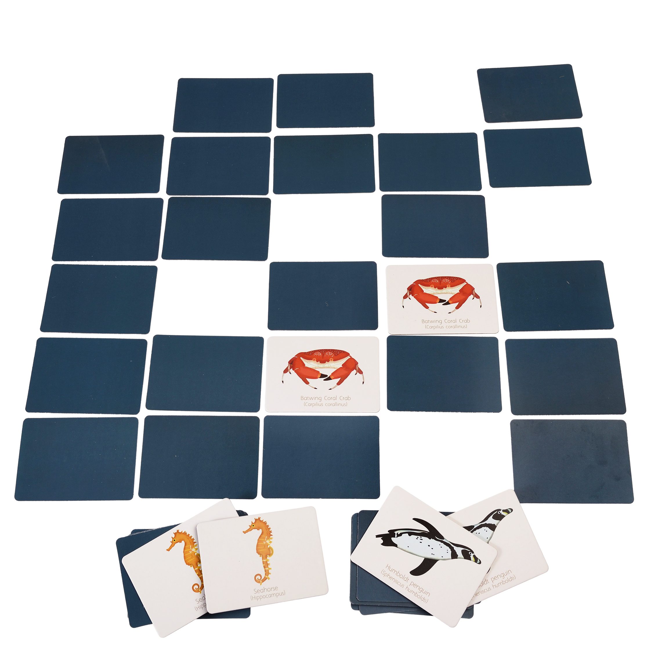 jeu de mémoire ocean (40 pièces)