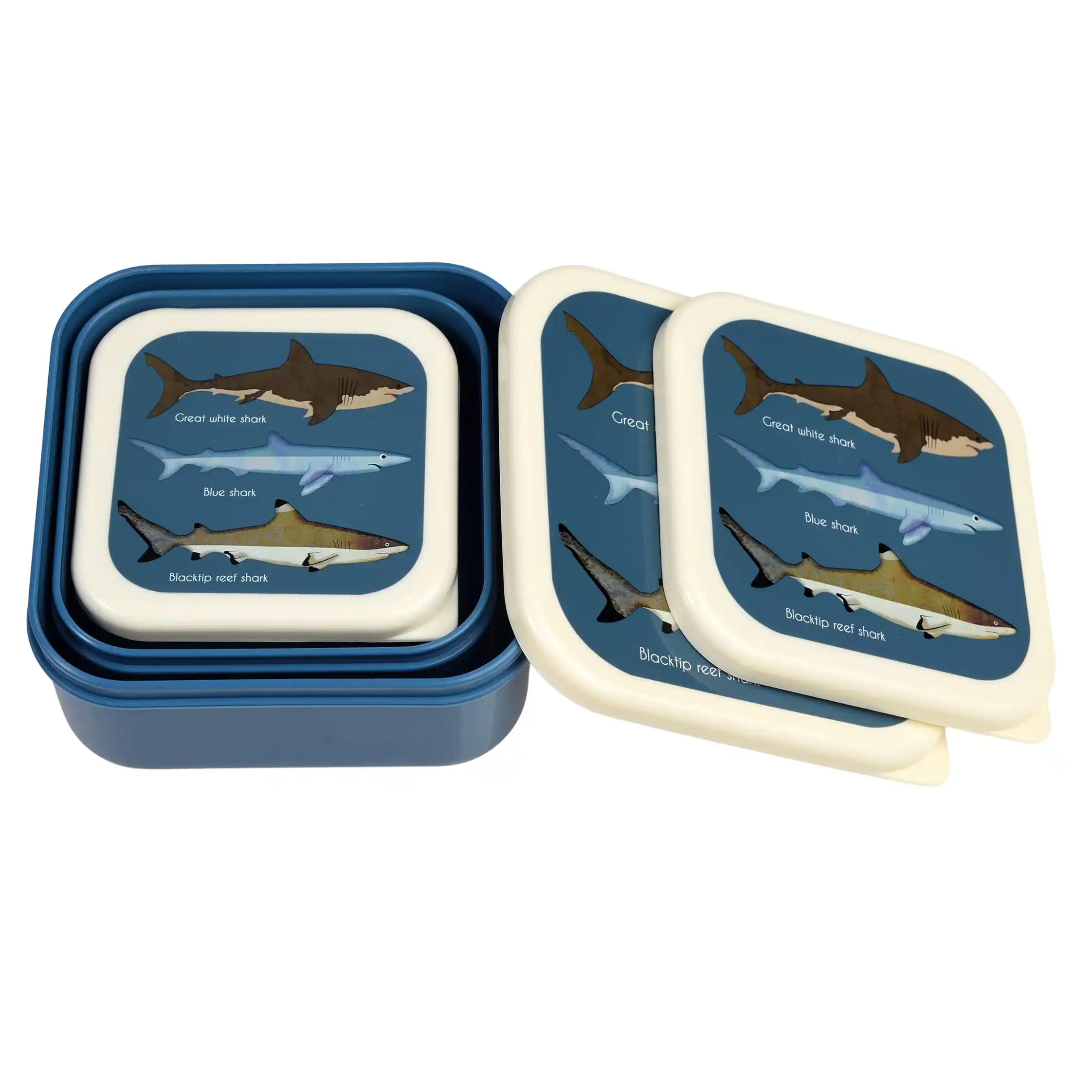 snack boxes (set of 3) - sharks
