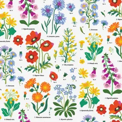 wrapping paper sheets - wild flowers wrapping paper sheets - wild flowers