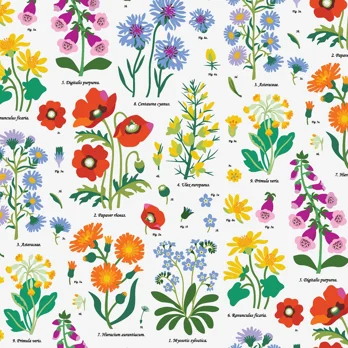 wrapping paper sheets - wild flowers wrapping paper sheets - wild flowers