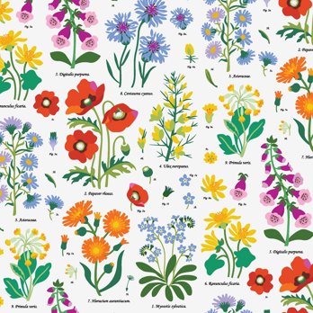 wrapping paper sheets - wild flowers
