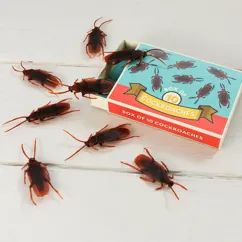 caja de 10 cucarachas