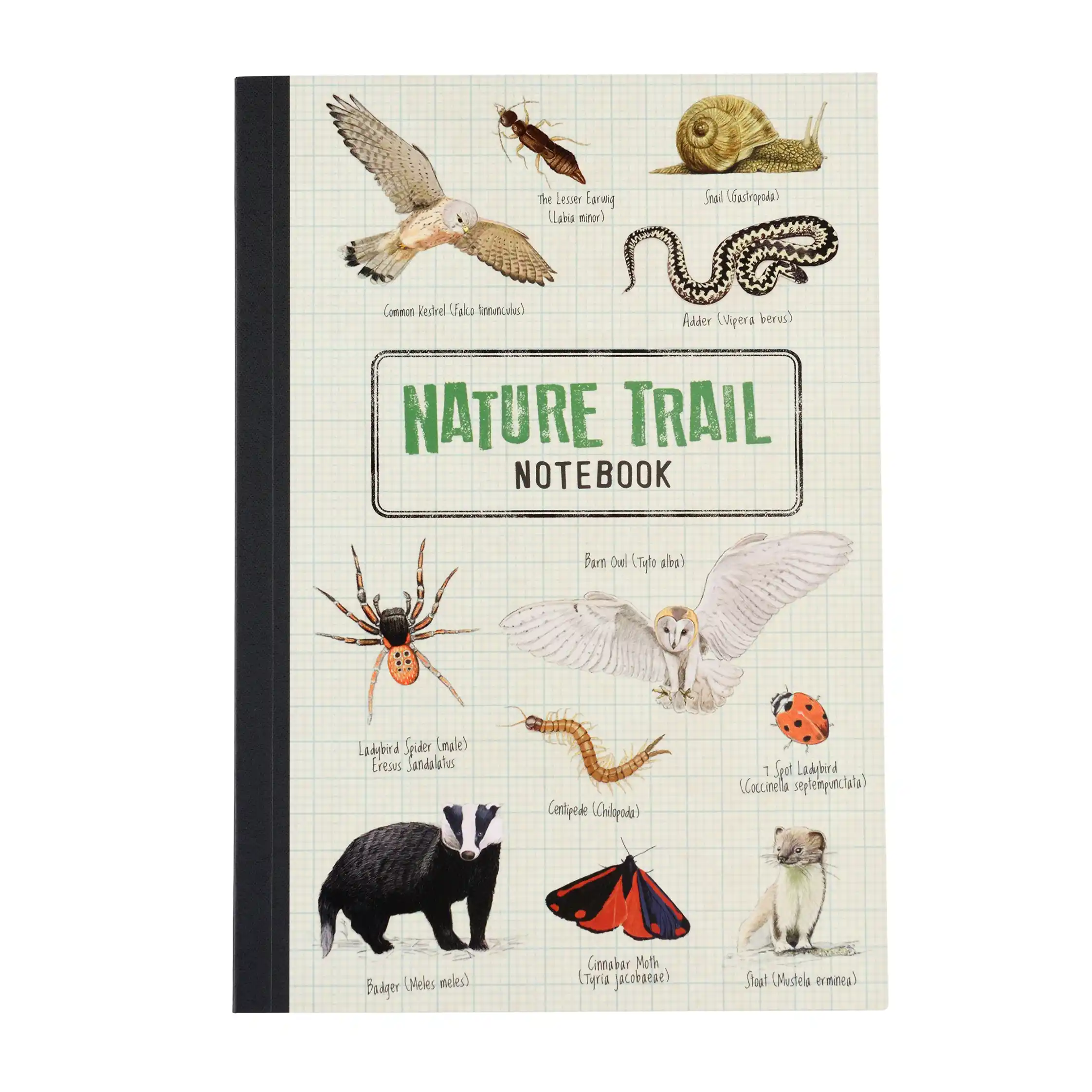 liniertes notizbuch a5 nature trail