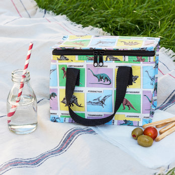insulated lunch bag - prehistoric land