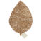 set de table jonc de mer - feuille