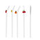 glass straws with cleaning brush (set of 4) - fruits