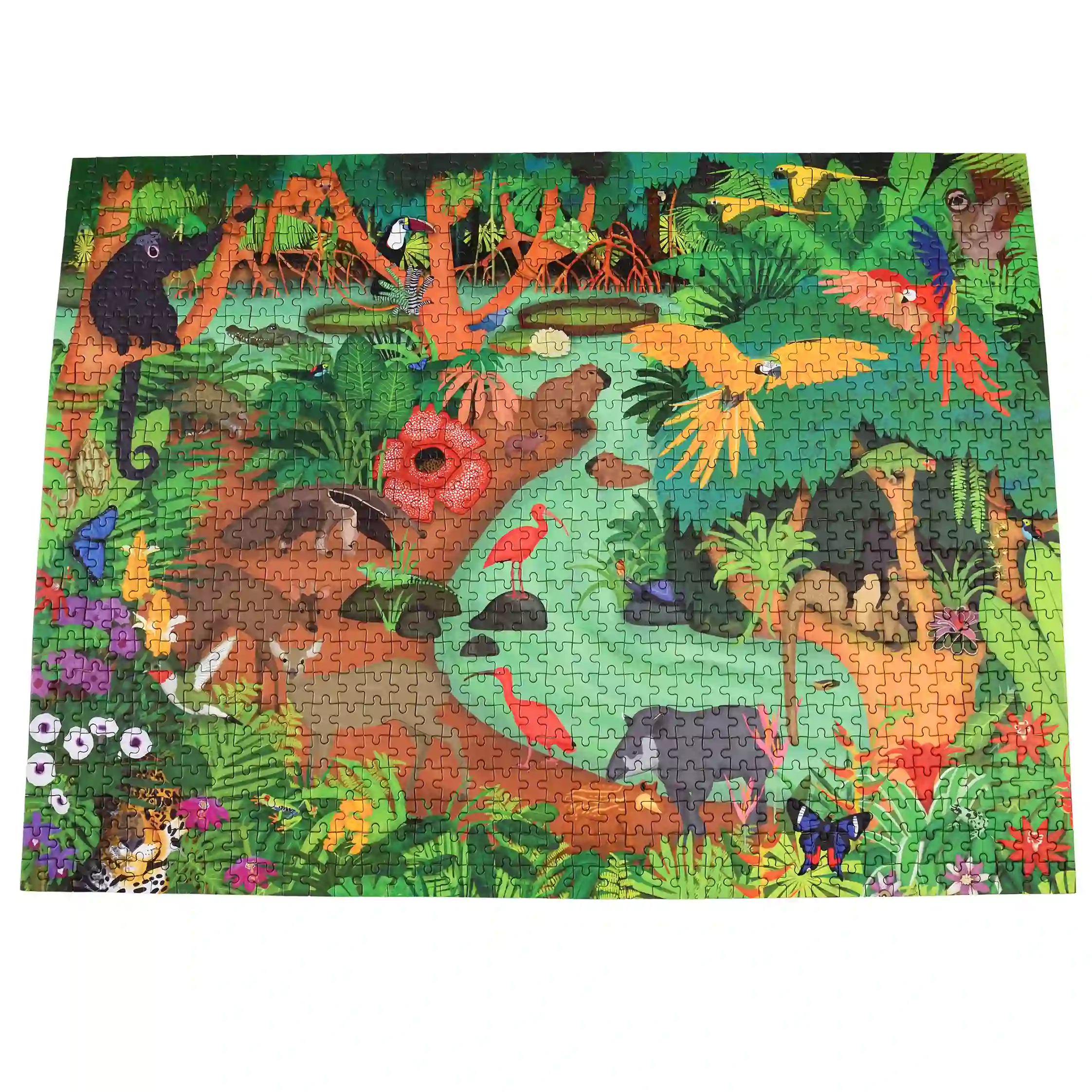 puzzle forêt tropicale 1000 pièces