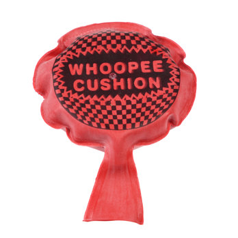 mini coussin peteur