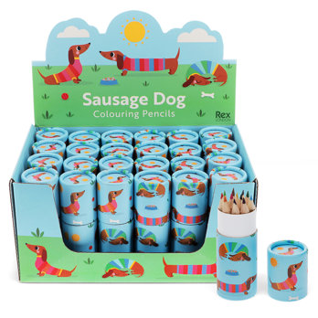 buntstifte in der pappröhre - sunny sausage dog