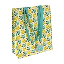 recycled shopping bag - love birds