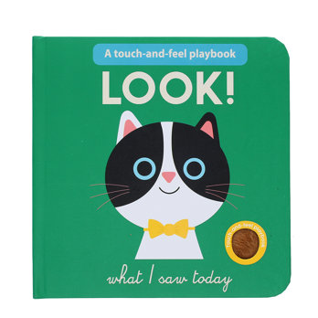 touch-and-feel play book - look! what i saw today
