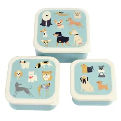 snack boxes (set of 3) - best in show