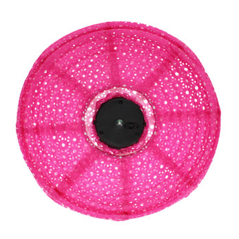 lanterne solaire d'extérieur ovni - fuchsia