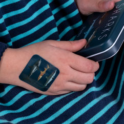 pansements enfant (30 pièces) - requins