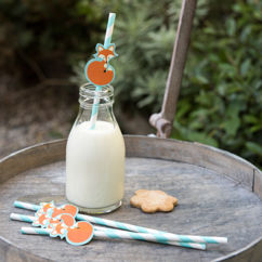 paper straws (pack of 4) - rusty the fox