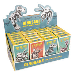 assorted glow-in-the-dark dinosaur skeleton kit