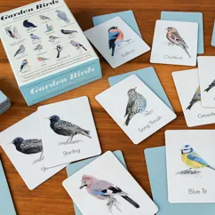memory game (40 pieces) - garden birds memory game (40 pieces) - garden birds