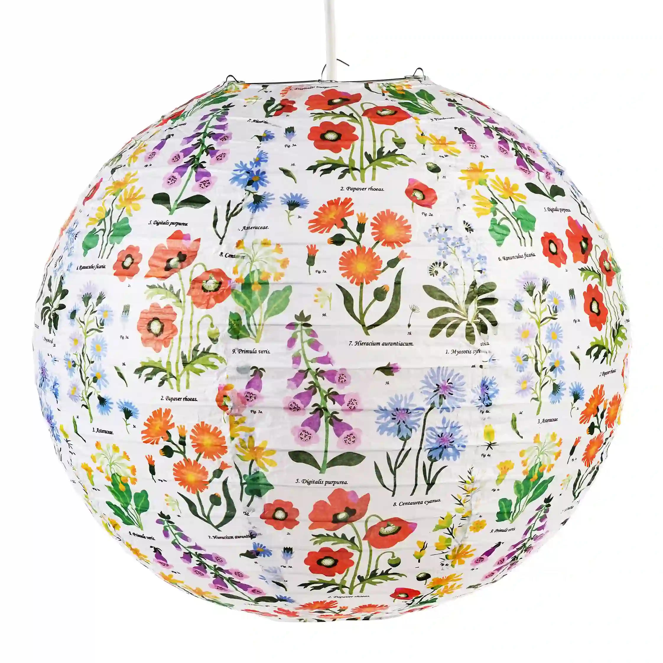paper lampshade - wild flowers