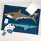 cotton rug - sharks