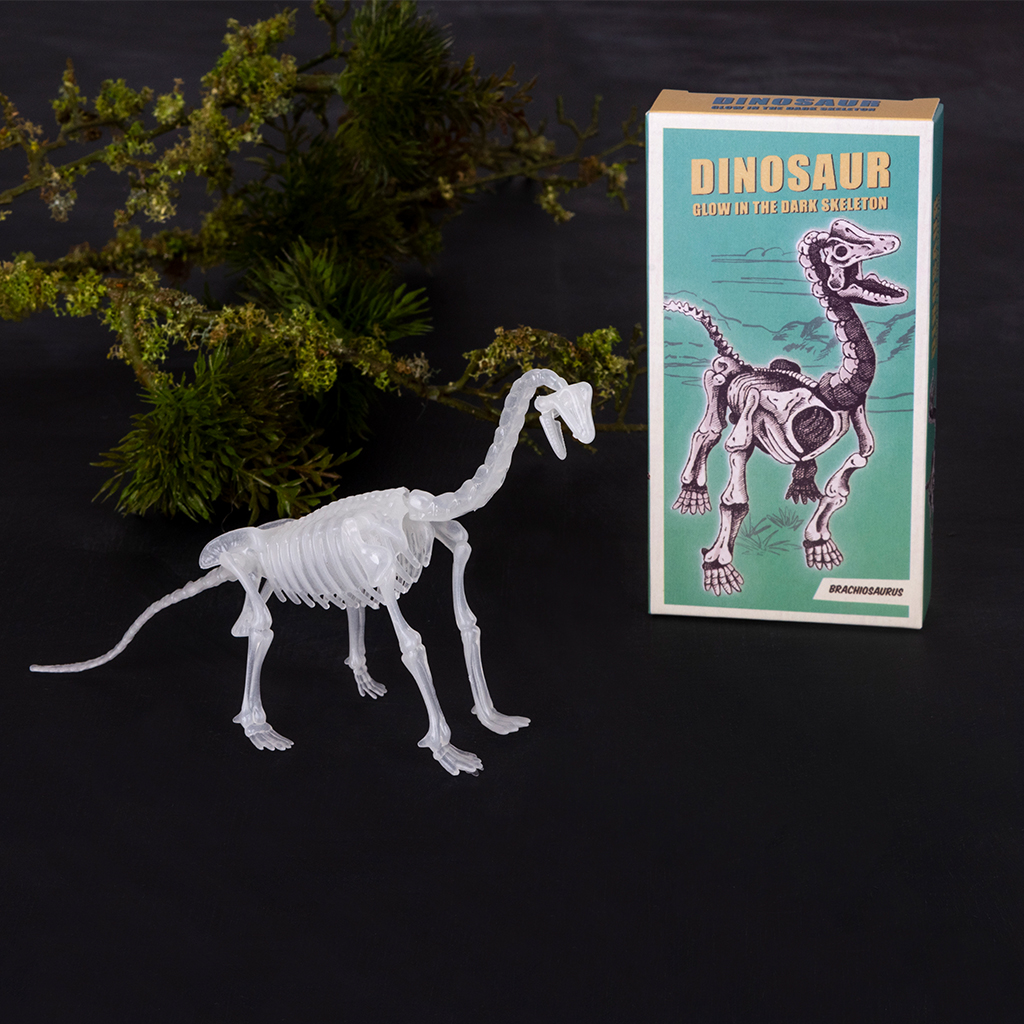 kit d'assemblage dinosaure