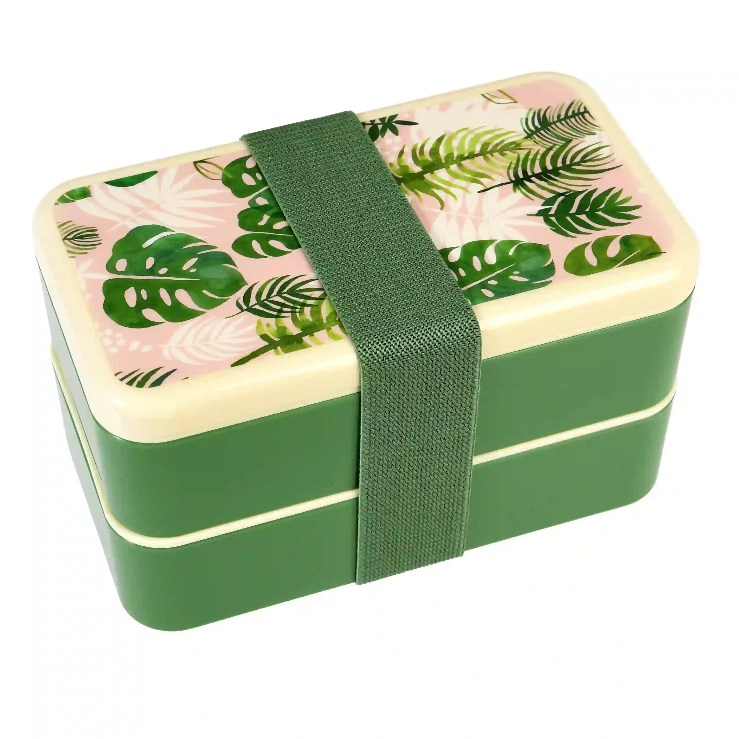 boite bento tropical palm