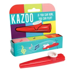 kazoo instrument de musique