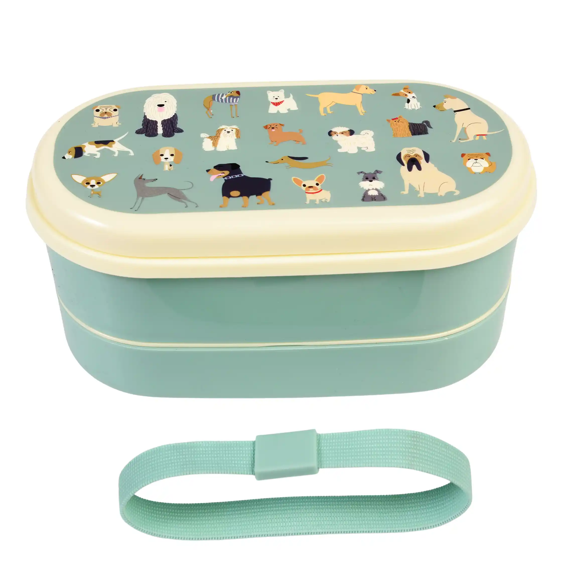 children's bento box - best in show