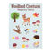 temporary tattoos - woodland creatures