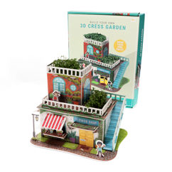 grow your own cress garden - large flower shop