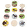 memory game (24 pieces) - prehistoric land