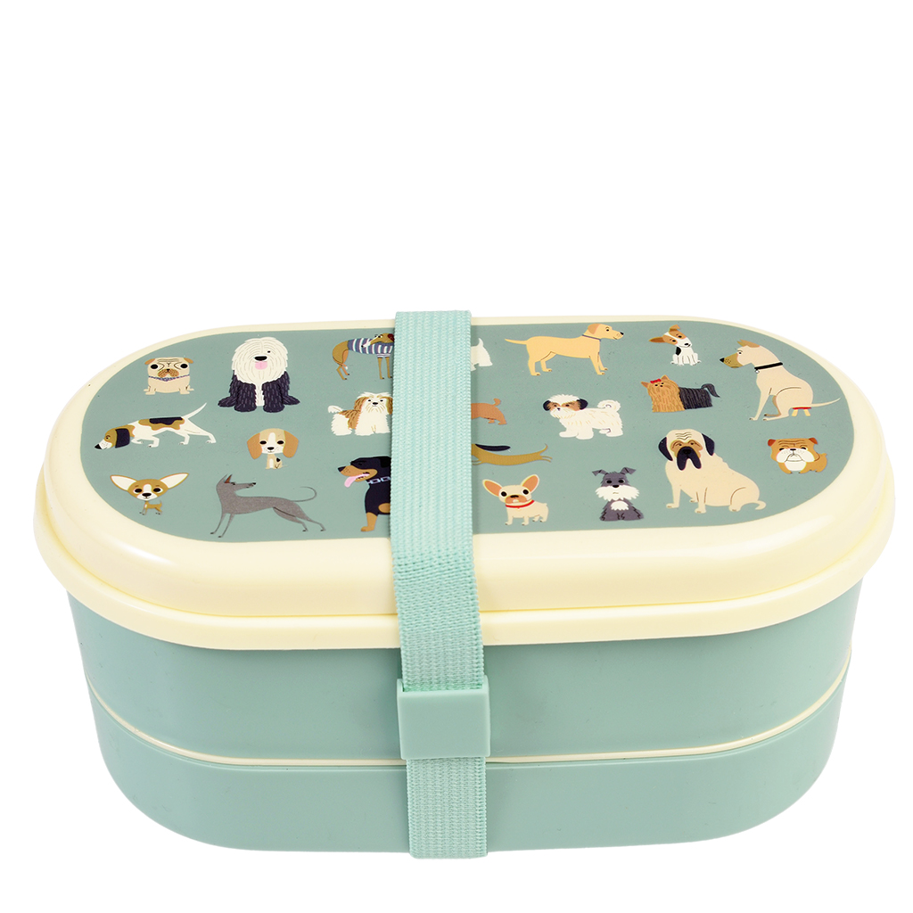 children's bento box - best in show