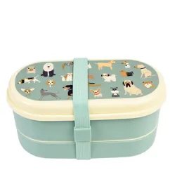 boîte à bento best in show boîte à bento best in show