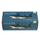 shark pull back toy