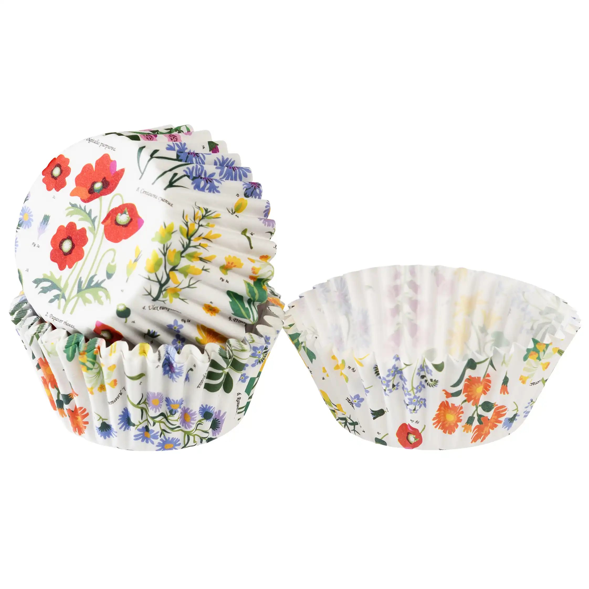 muffinformen wild flowers (50-er packung)