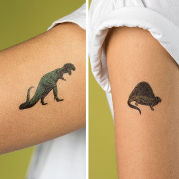 temporary tattoos - prehistoric land