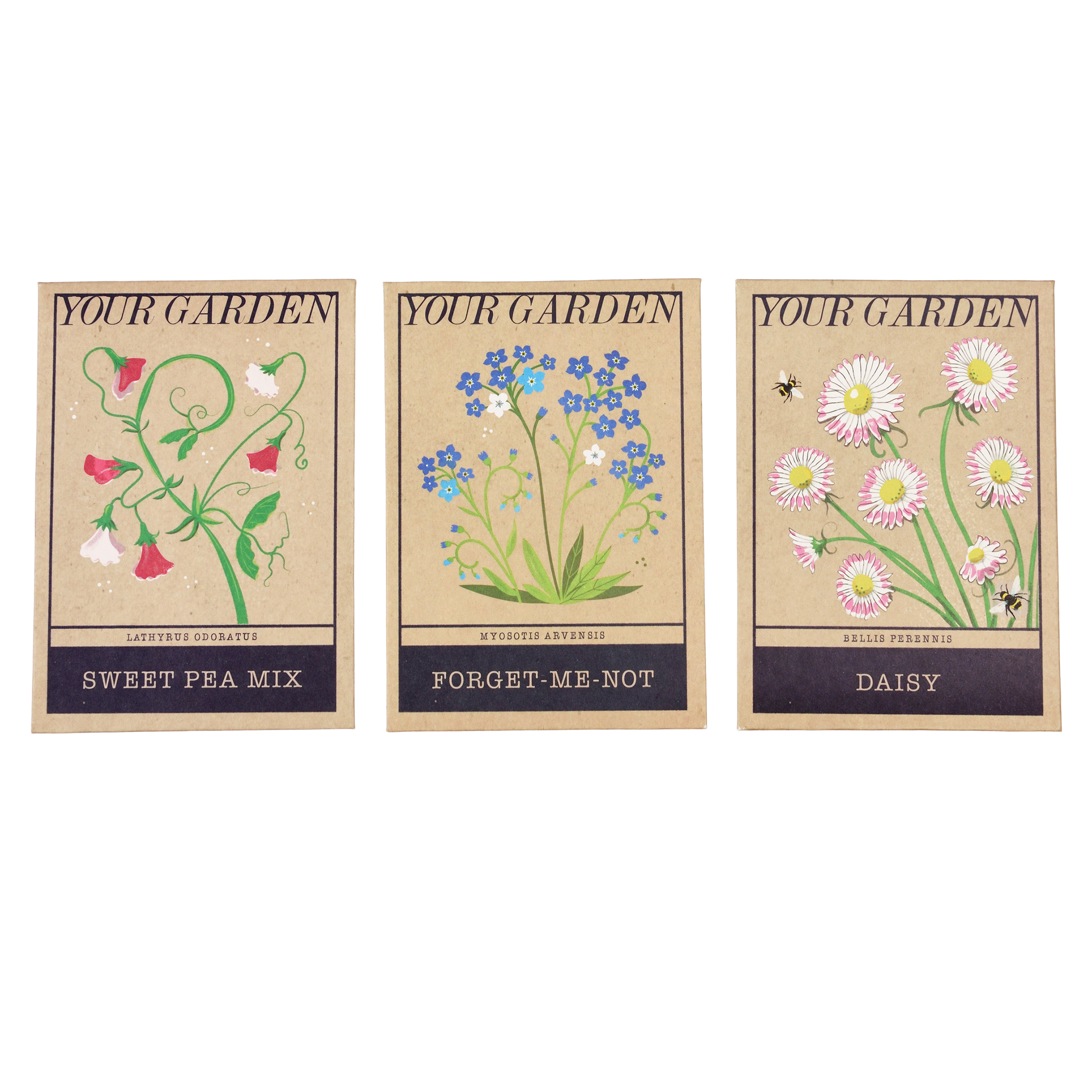 sortierte blumensamen your garden