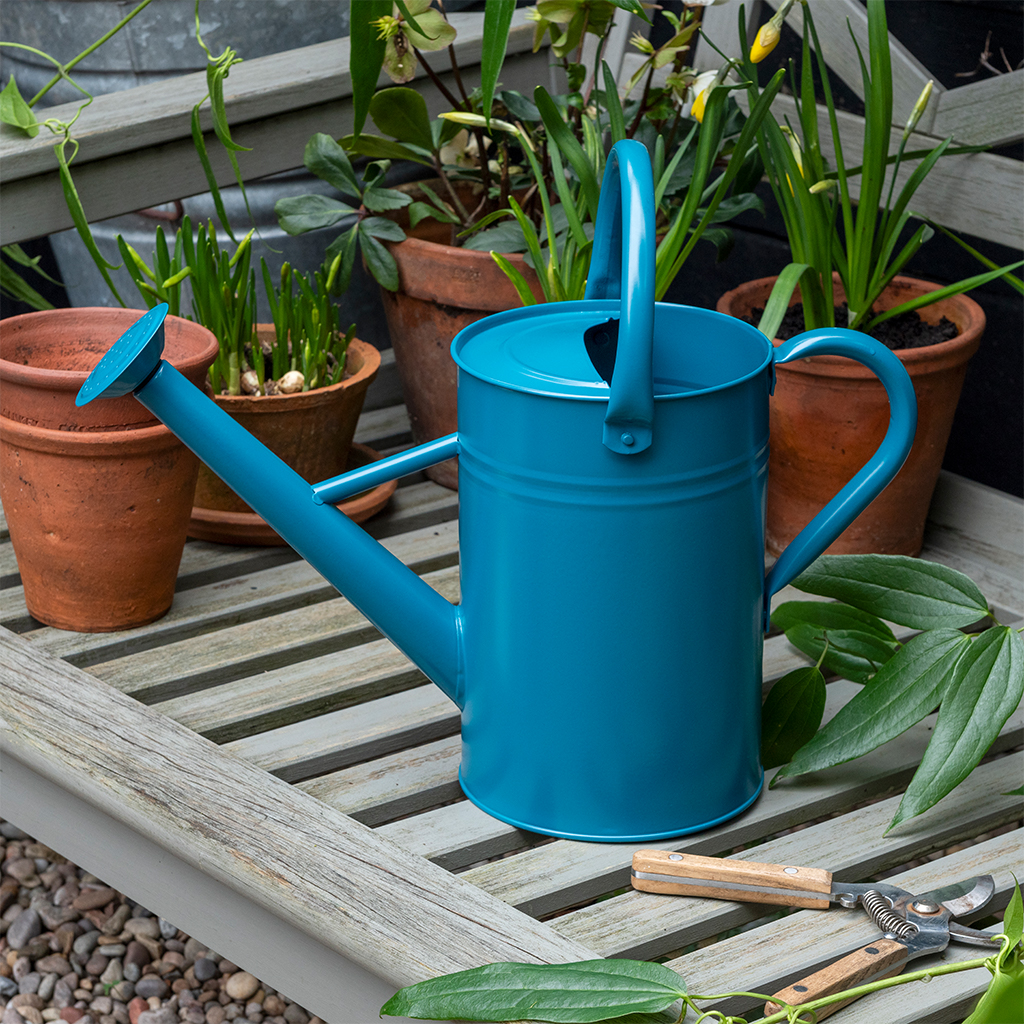 galvanised steel watering can 4.5l - blue