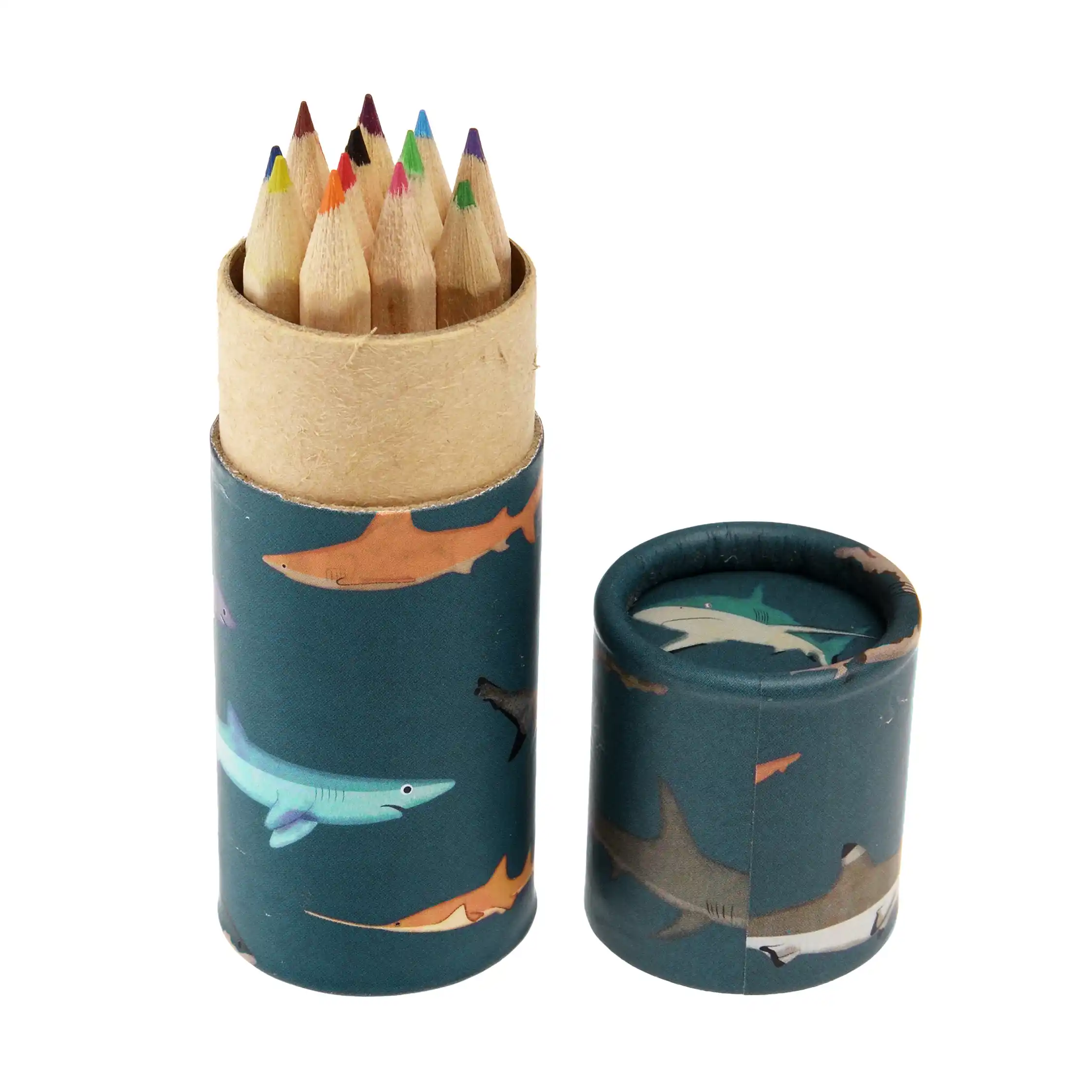 crayons de couleur requins en tube (lot de 12)