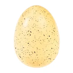 giant hatching shark egg - sharks giant hatching shark egg - sharks