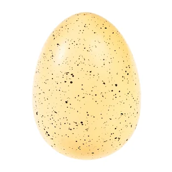 giant hatching shark egg - sharks giant hatching shark egg - sharks