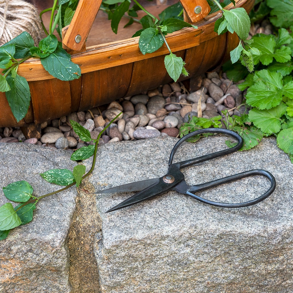 gardener's scissors - your garden