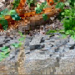 ciseaux de jardinier your garden